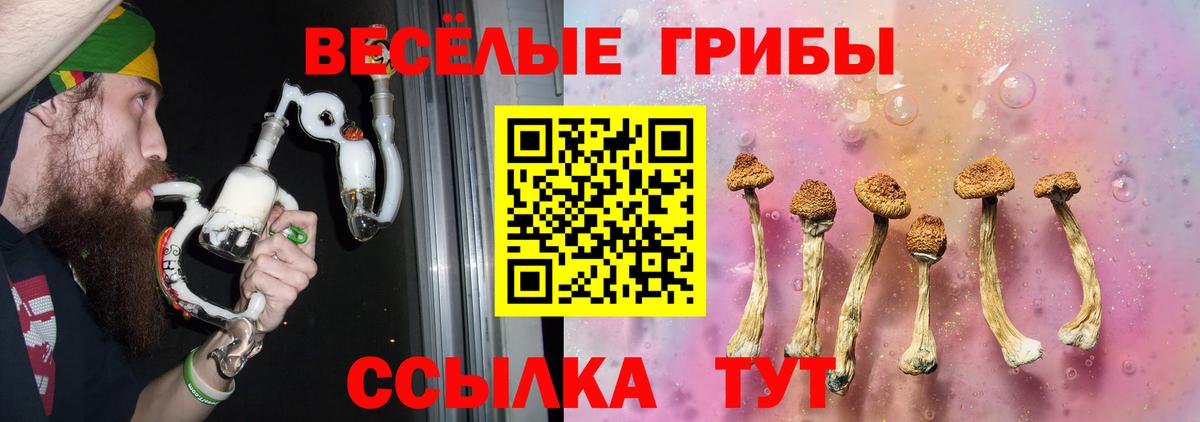 Псилоцибиновые грибы Cubensis  Вход с VPN  Галлюциногенные грибы мицелий  Кыштым 
